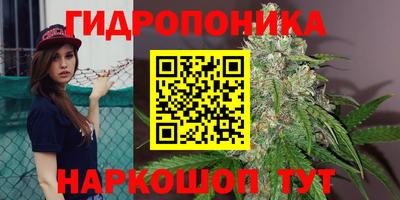 2c-b Пенза