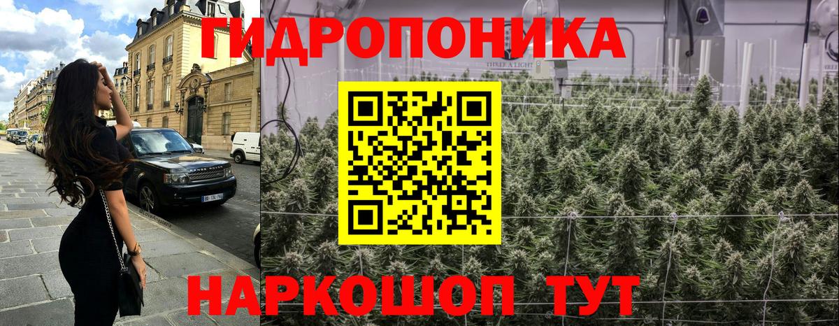 Канабис семена Салехард